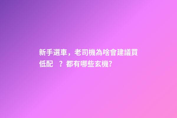 新手選車，老司機為啥會建議買低配？都有哪些玄機？